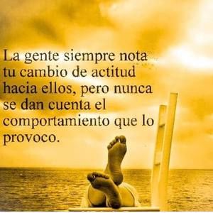 Meet your Posher, Chii